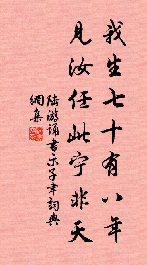 陆游我生七十有八年，见汝任此宁非天书法作品欣赏