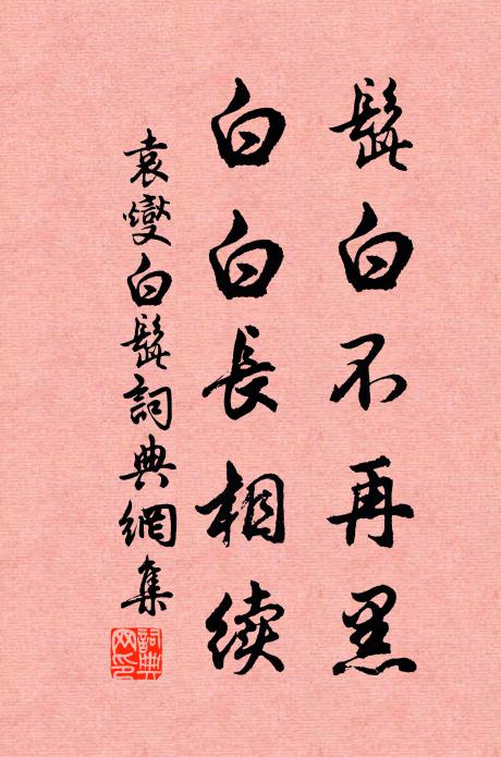 袁燮髭白不再黑，白白长相续书法作品欣赏