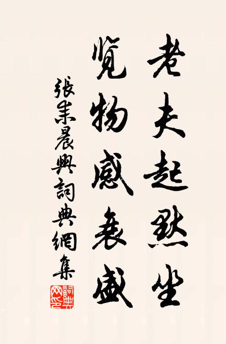 张耒老夫起默坐，览物感衰盛书法作品欣赏