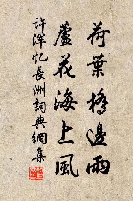许浑荷叶桥边雨，芦花海上风书法作品欣赏