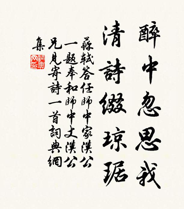 苏轼醉中忽思我，清诗缀琼琚书法作品欣赏