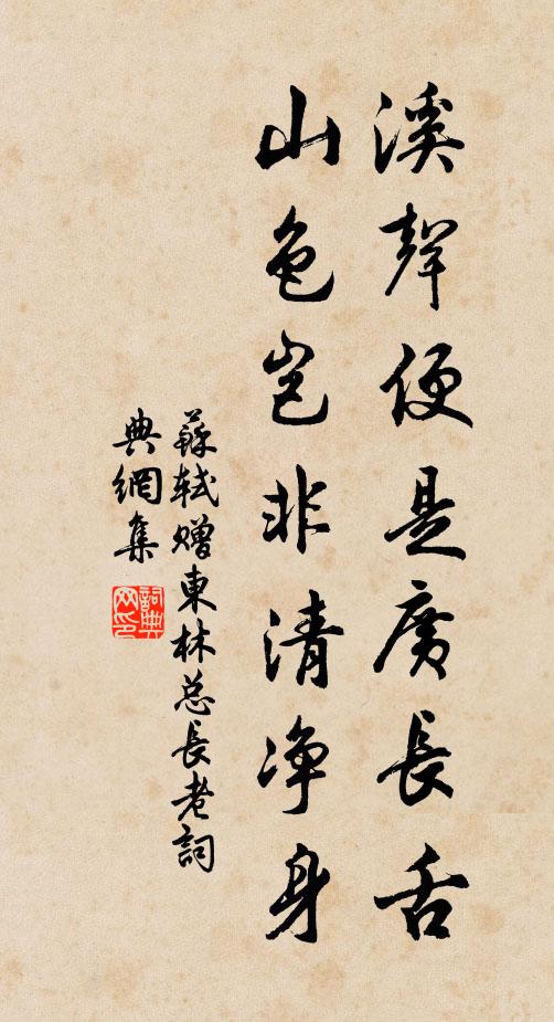 苏轼溪声便是广长舌，山色岂非清净身书法作品欣赏