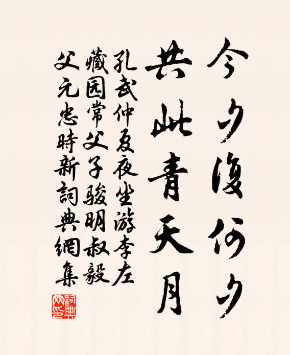 孔武仲今夕复何夕，共此青天月书法作品欣赏
