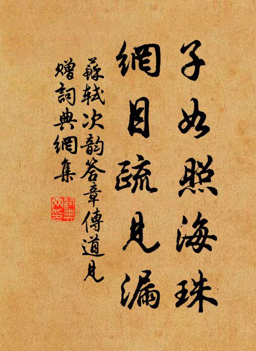 苏轼子如照海珠，网目疏见漏书法作品欣赏