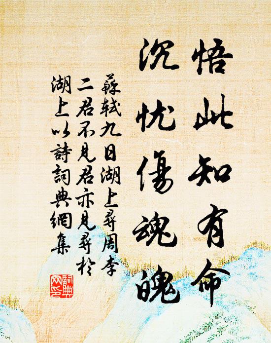 苏轼悟此知有命，沉忧伤魂魄书法作品欣赏
