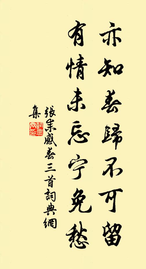 张耒亦知春归不可留，有情未忘宁免愁书法作品欣赏