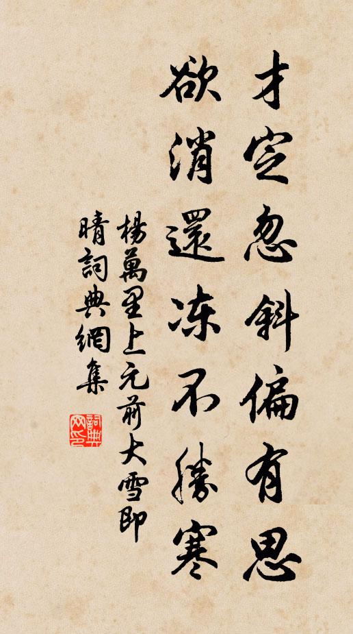 杨万里才定忽斜偏有思，欲消还冻不胜寒书法作品欣赏