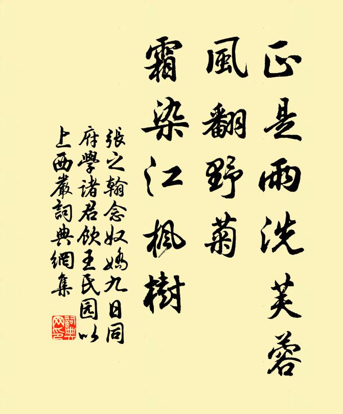 张之翰正是雨洗芙蓉，风翻野菊，霜染江枫树书法作品欣赏