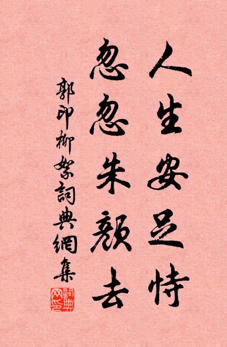 郭印人生安足恃，忽忽朱颜去书法作品欣赏