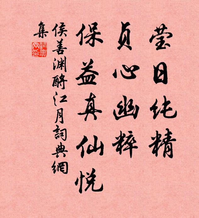 侯善渊莹日纯精，贞心幽粹，保益真仙悦书法作品欣赏