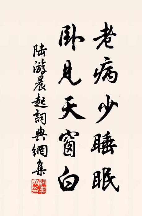 陆游老病少睡眠，卧见天窗白书法作品欣赏