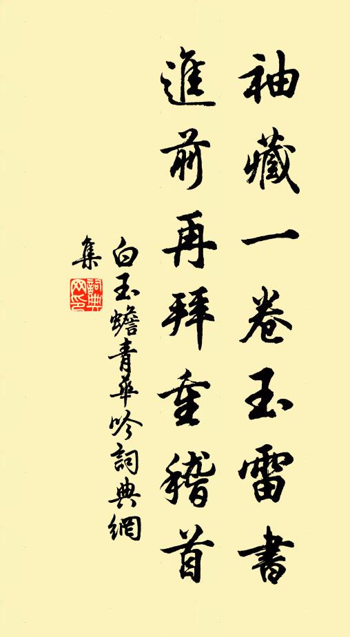 白玉蟾袖藏一卷玉雷书，进前再拜重稽首书法作品欣赏