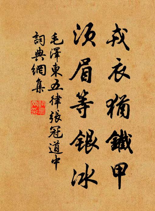 戎衣犹铁甲，须眉等银冰书法作品欣赏
