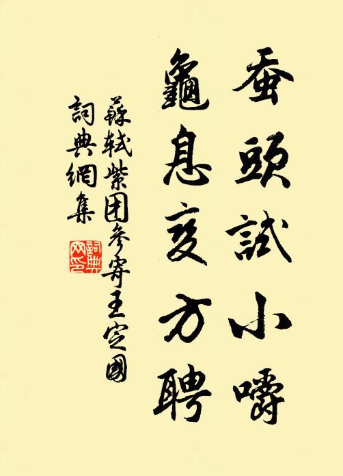 苏轼蚕头试小嚼，龟息变方聘书法作品欣赏