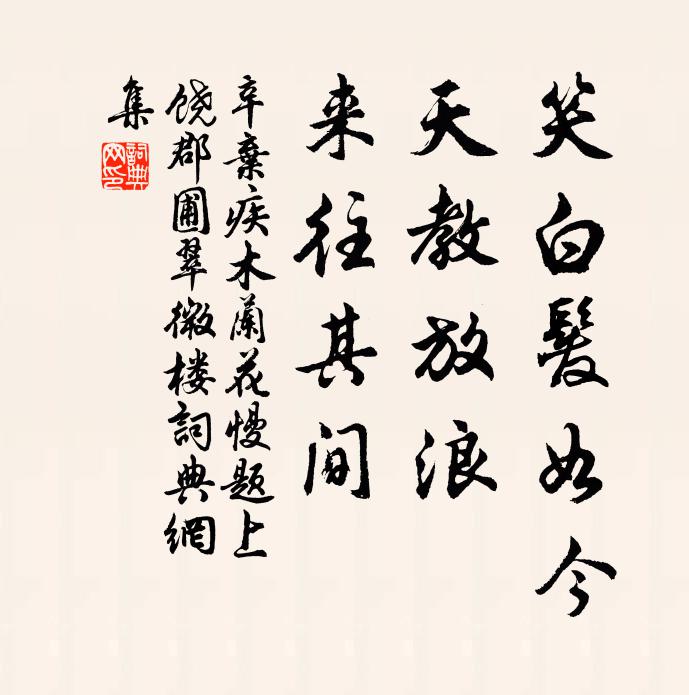 辛弃疾笑白发如今，天教放浪，来往其间书法作品欣赏