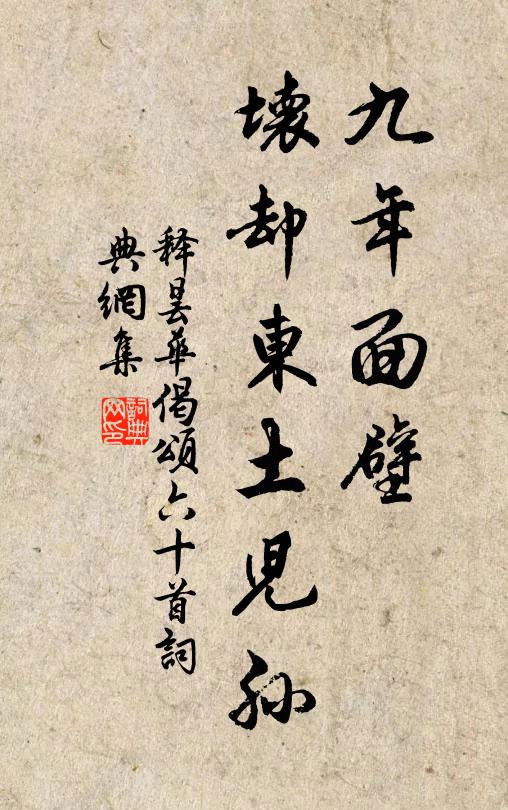 释昙华九年面壁，坏却东土儿孙书法作品欣赏