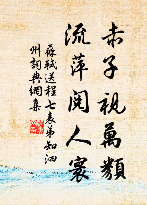 苏轼赤子视万类，流萍阅人寰书法作品欣赏