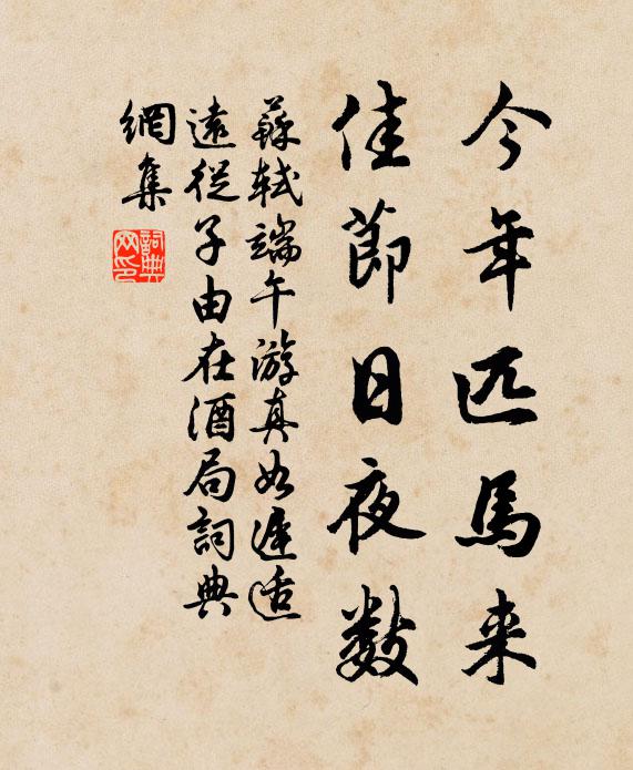 苏轼今年匹马来，佳节日夜数书法作品欣赏