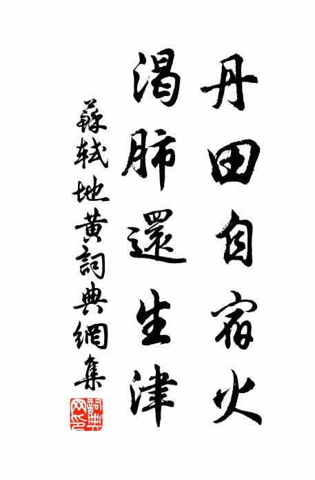 苏轼丹田自宿火，渴肺还生津书法作品欣赏