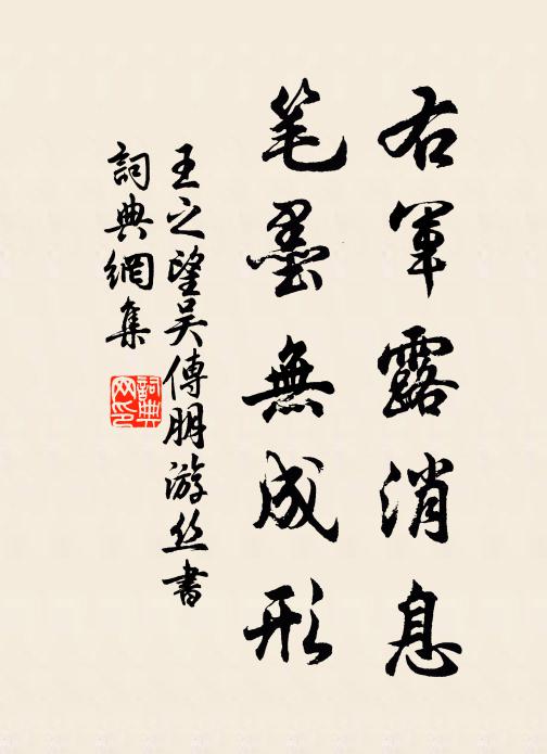 王之望右军露消息，笔墨无成形书法作品欣赏