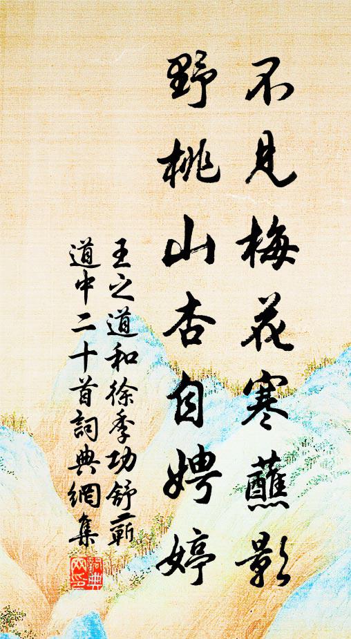 王之道不见梅花寒蘸影，野桃山杏自娉婷书法作品欣赏