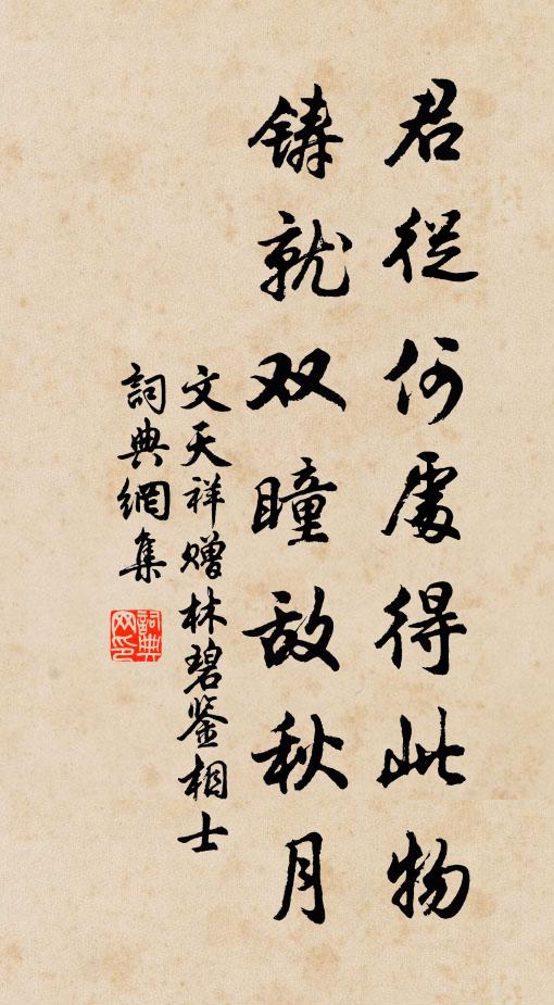 文天祥君从何处得此物，铸就双瞳敌秋月书法作品欣赏