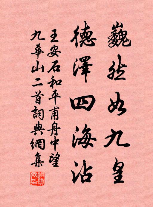 王安石巍然如九皇，德泽四海沾书法作品欣赏