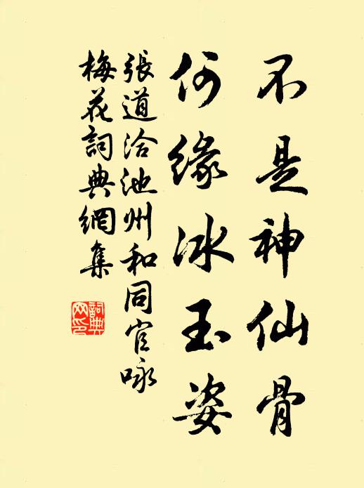 张道洽不是神仙骨，何缘冰玉姿书法作品欣赏