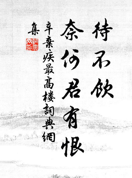 辛弃疾待不饮、奈何君有恨书法作品欣赏