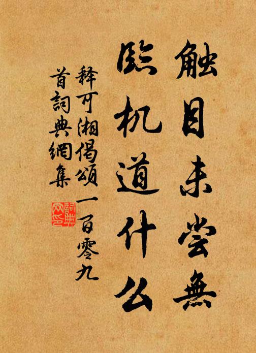 释可湘触目未尝无，临机道什么书法作品欣赏