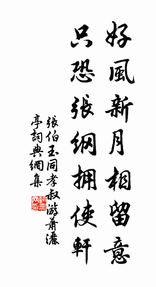 张伯玉好风新月相留意，只恐张纲拥使轩书法作品欣赏