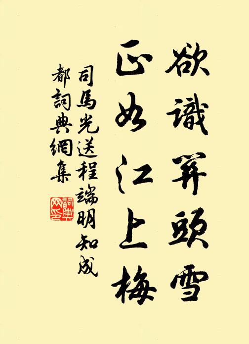 司马光欲识关头雪，正如江上梅书法作品欣赏