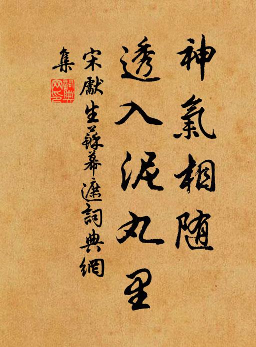 宋先生神气相随，透入泥丸里书法作品欣赏