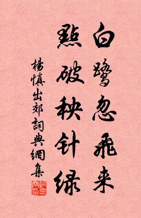 杨慎白鹭忽飞来，点破秧针绿书法作品欣赏