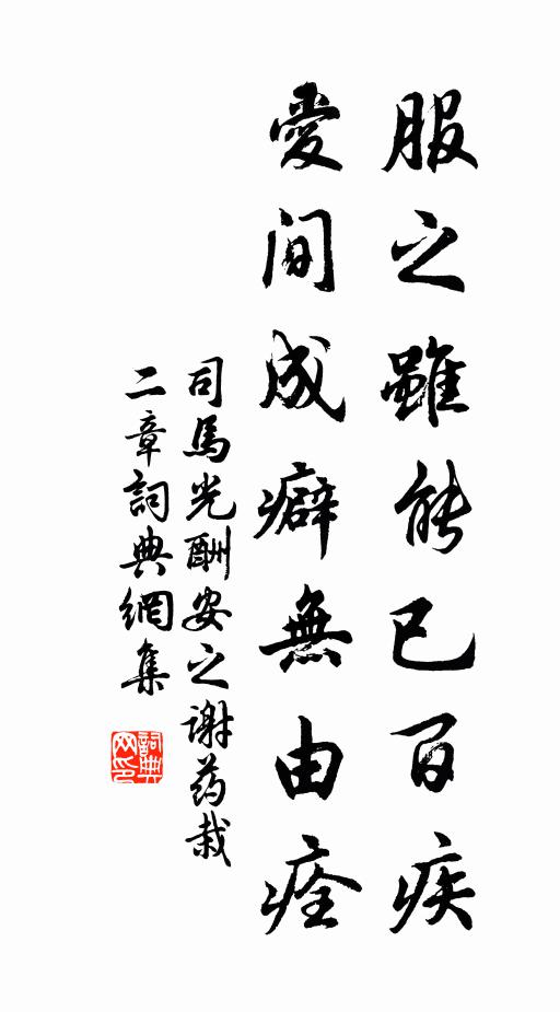 司马光服之虽能已百疾，爱间成癖无由痊书法作品欣赏