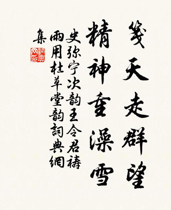 史弥宁笺天走群望，精神重澡雪书法作品欣赏