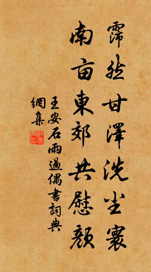 王安石霈然甘泽洗尘寰，南亩东郊共慰颜书法作品欣赏