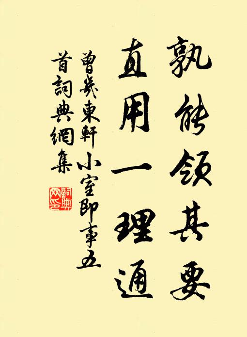 曾几孰能领其要，直用一理通书法作品欣赏
