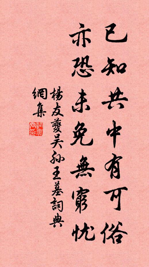 杨友夔已知共中有可俗，亦恐未免无穷忧书法作品欣赏