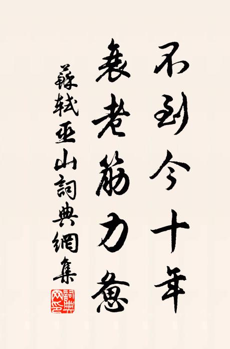 苏轼不到今十年，衰老筋力惫书法作品欣赏