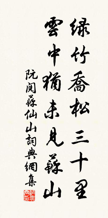 阮阅绿竹乔松三十里，云中犹未见苏山书法作品欣赏