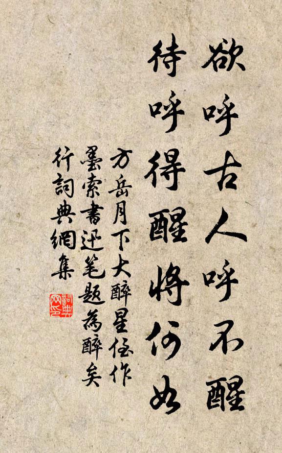 方岳欲呼古人呼不醒，待呼得醒将何如书法作品欣赏