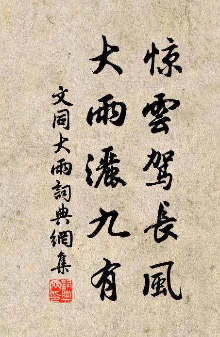 文同惊云驾长风，大雨洒九有书法作品欣赏