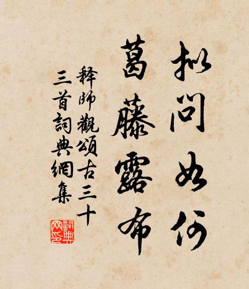 释师观拟问如何，葛藤露布书法作品欣赏