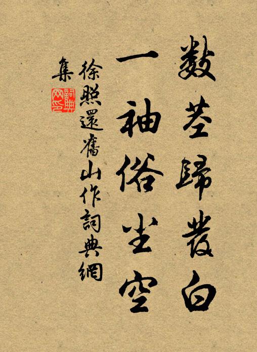 徐照数茎归发白，一袖俗尘空书法作品欣赏