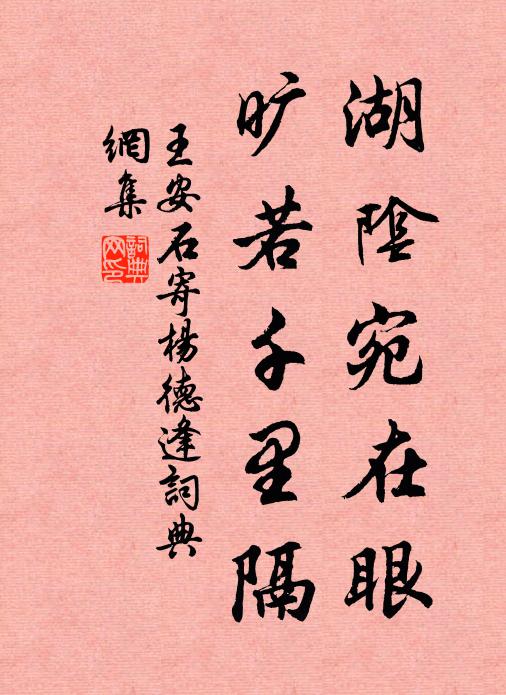 王安石湖阴宛在眼，旷若千里隔书法作品欣赏