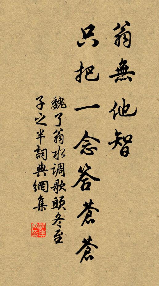 魏了翁翁无他智，只把一念答苍苍书法作品欣赏