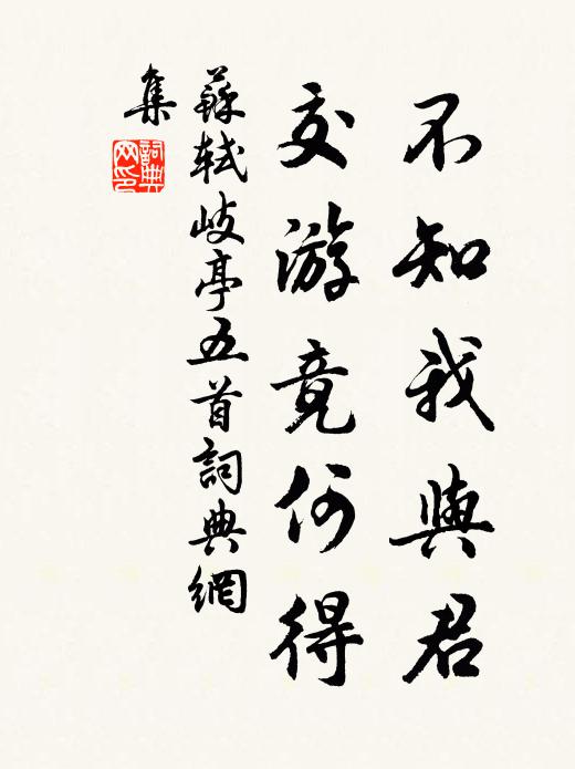 苏轼不知我与君，交游竟何得书法作品欣赏