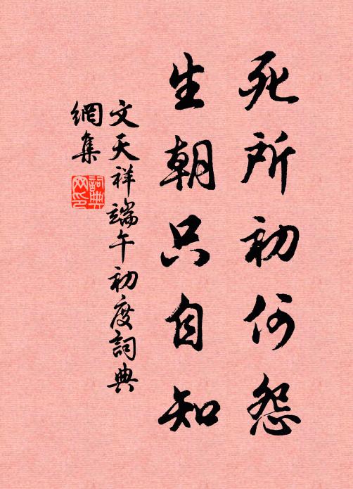 文天祥死所初何怨，生朝只自知书法作品欣赏