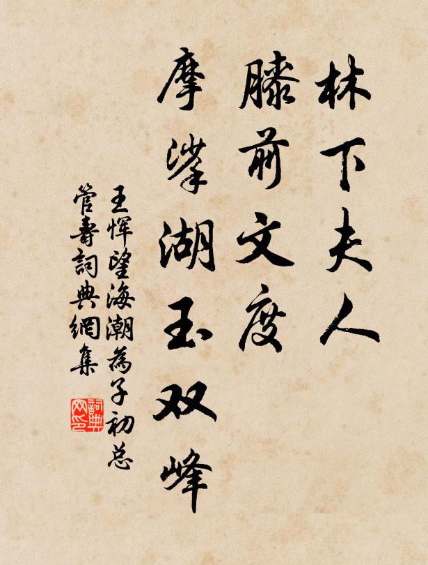 王恽林下夫人，膝前文度，摩挲湖玉双峰书法作品欣赏